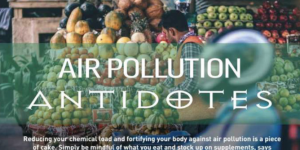 Air pollution antidotes – an article featured in Life on Lantau