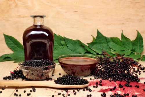 Elderberry extract: a natural anti-viral agent to help you fight colds and flu