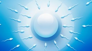 Male infertility: 10 factors that affect sperm count and morphology