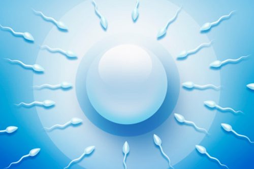 Male infertility: 10 factors that affect sperm count and morphology