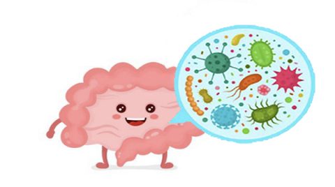 Do you know your friendly bacteria?