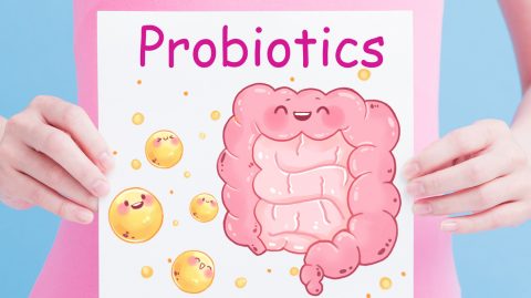Every gut needs a good probiotic